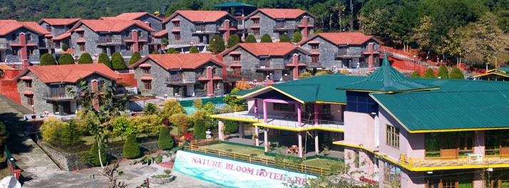 Nature Bloom - Palampur 01.jpg